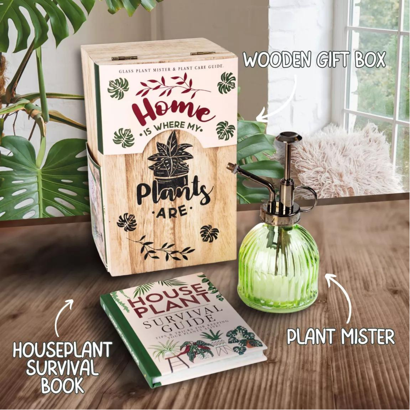 Houseplants Survival Set