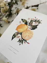 Orange Blossom