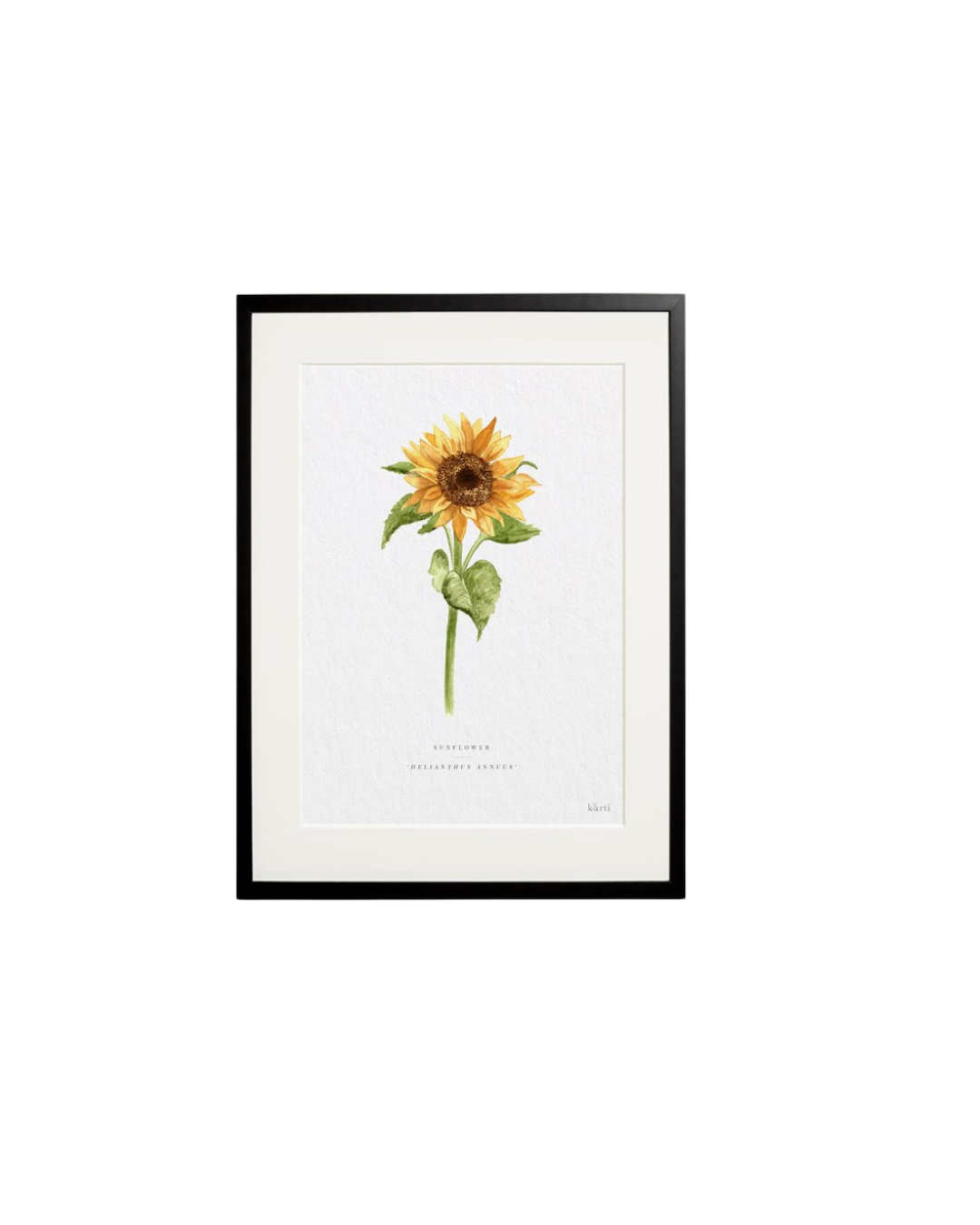Prints With Frame
