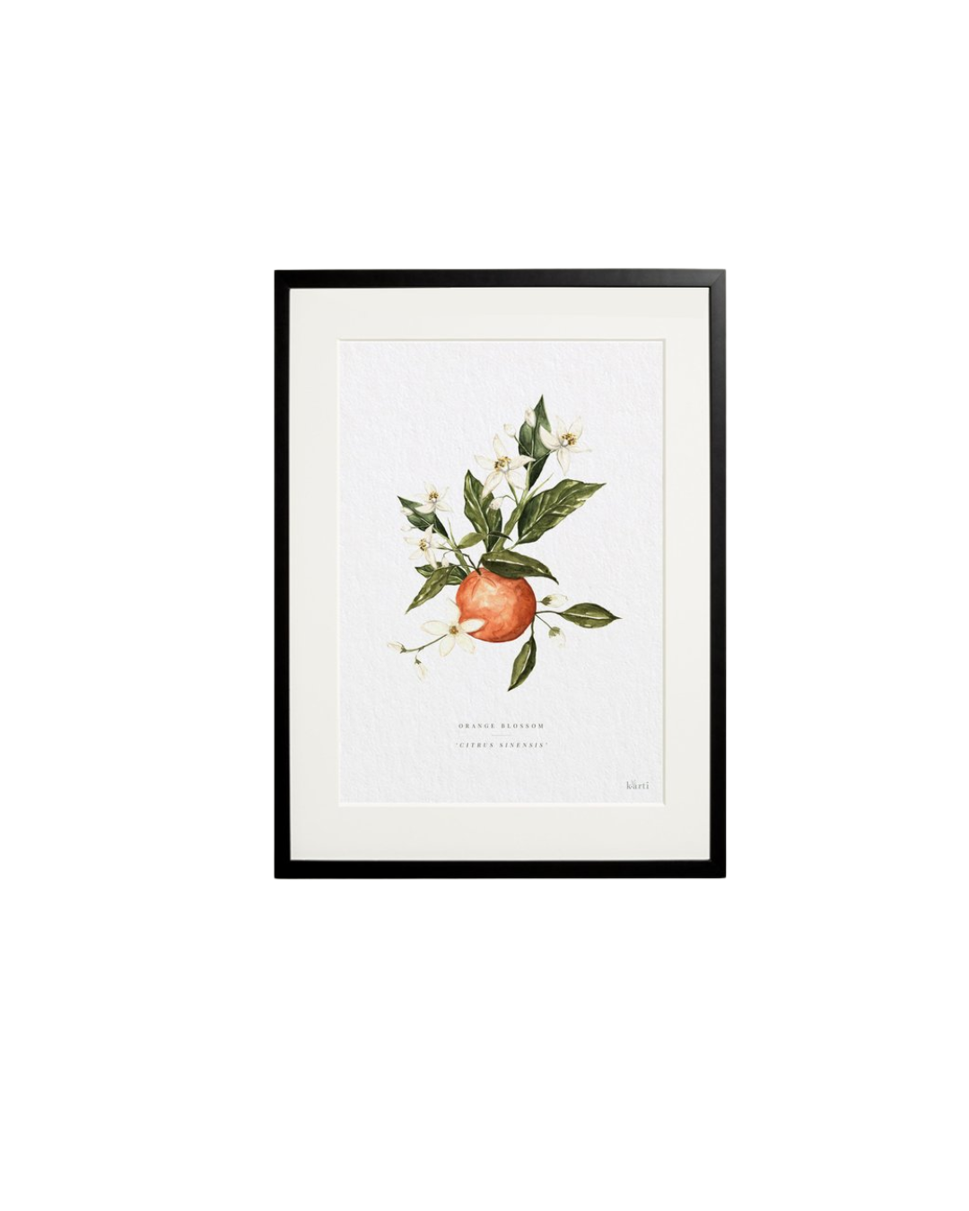 Prints With Frame